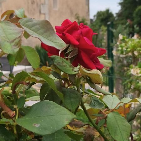 Gite Aux Vieux Bois Lunas  Esterno foto