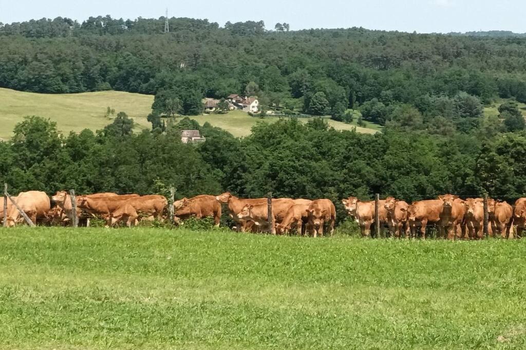 Gite Aux Vieux Bois Lunas  Esterno foto