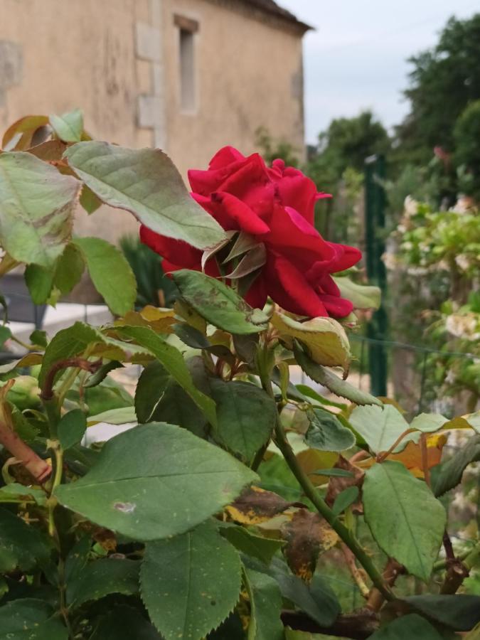 Gite Aux Vieux Bois Lunas  Esterno foto