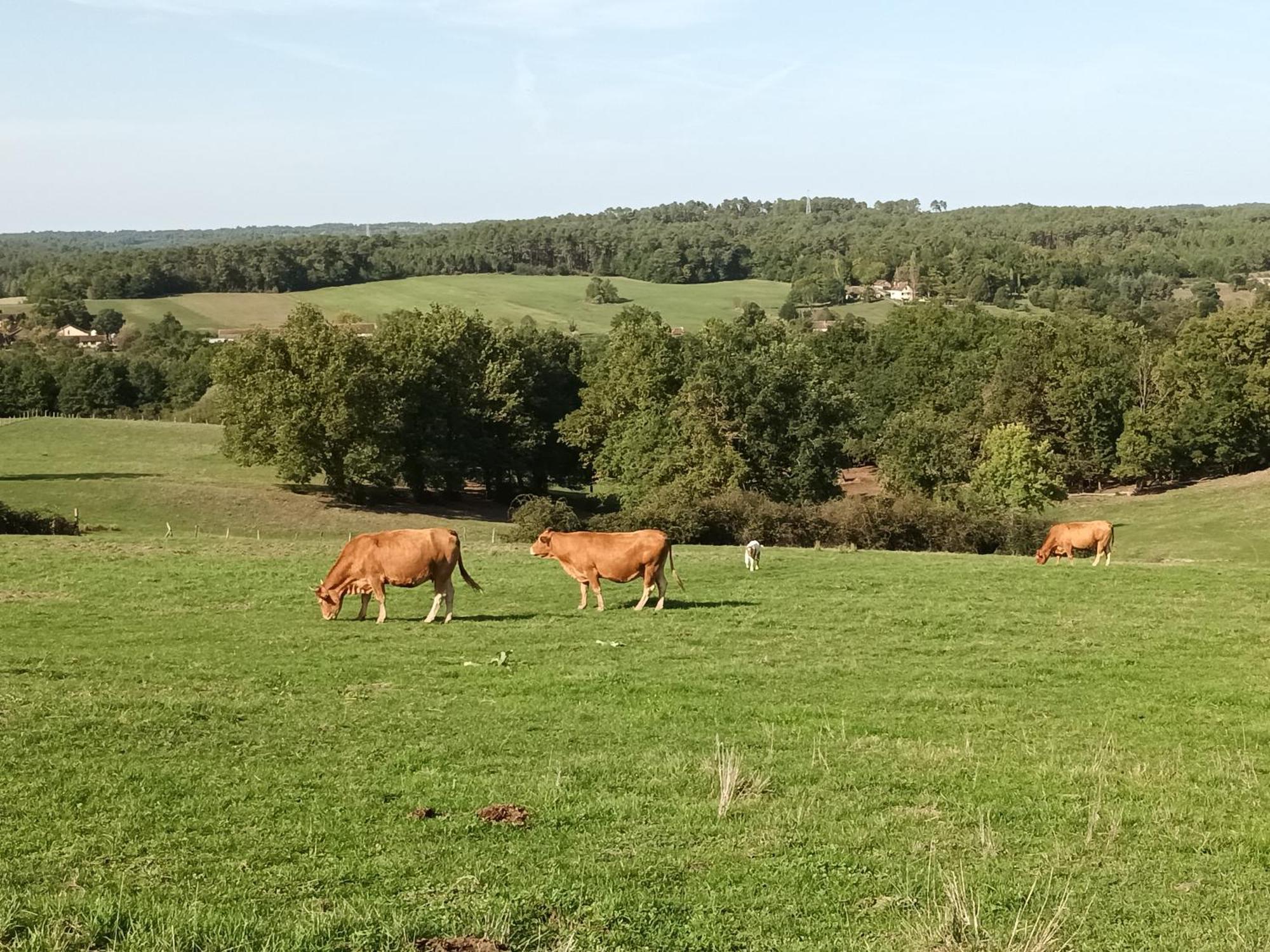 Gite Aux Vieux Bois Lunas  Esterno foto